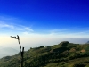 phutubberk_MG_2785