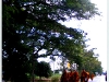 prachuap_DSCF8979.JPG