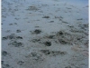 DSCF9076.JPG