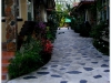 DSCF9145.JPG