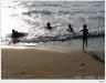 DSCF9155.JPG