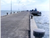 DSCF9250.JPG