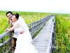 wedding_yn_IMG_8995