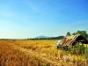 sasidhara_MG_4132