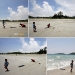 page_sattahip.jpg