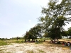 sattahip__MG_5227.JPG