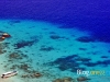 similan_MG_1897