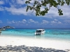 similan_MG_1971
