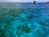 similan_mg_0874