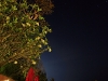 sripanwa_around-6909