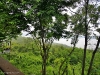 suanmuangporn_MG_8470