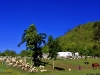 swissvalley_MG_7392
