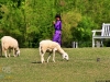 swissvalley_MG_7425_1