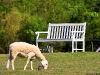swissvalley_MG_7428_1