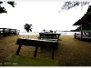 surat_IMG_0716.JPG