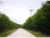 surat_img_0661.jpg