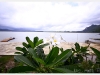 surat_img_0686.jpg