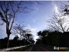 surin_IMG_1253.JPG