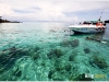 surin_IMG_1421.JPG