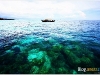 surin_IMG_1444.JPG