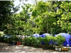surin_IMG_1469.JPG