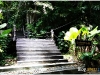 surin_IMG_1492.JPG