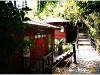 surin_IMG_1495.JPG