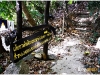 surin_IMG_1509.JPG