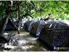 surin_IMG_1510.JPG
