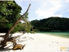 surin_IMG_1517.JPG