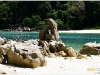 surin_IMG_1547.JPG