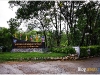 surin_IMG_1623.JPG