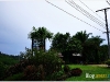 surin_IMG_1635.JPG