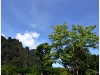 surin_IMG_1842.JPG