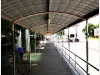 surin_IMG_1879.JPG