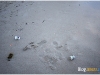 surin_IMG_2040.JPG
