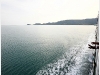 surat_IMG_2239.JPG