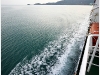 surat_IMG_2241.JPG