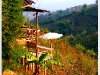 doi_DSCF0447.JPG