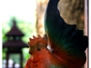 chiangraiDSCF2077.JPG