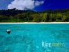 tachai_MG_2165
