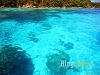 tachai_MG_2262