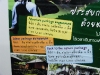 thailand_DSCF8163.JPG