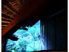 thecliff_IMG_0941.JPG