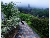 thecliff_IMG_1125.JPG