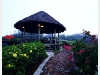 thecliff_IMG_1129.JPG