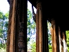 Resized_DSCF4464.JPG