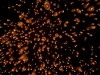 tamarind-977