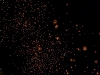 tamarind-980