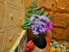 zalete_MG_7629